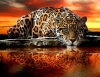5D DIY Diamond Painting Leopard (#04)